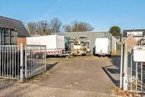 Bekijk foto 5 van Kamperfoelie 1 A