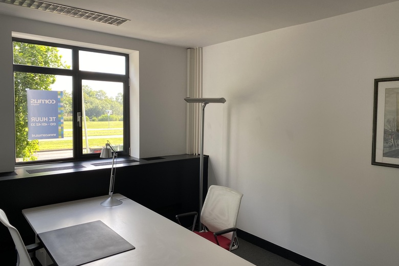 Kantoorruimte Rotterdam - Kralingse Plaslaan 40 - Foto 4