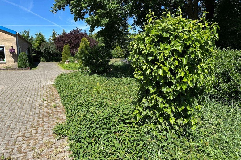 Bedrijfsruimte Wijhe - Enkweg 54 - Foto 18