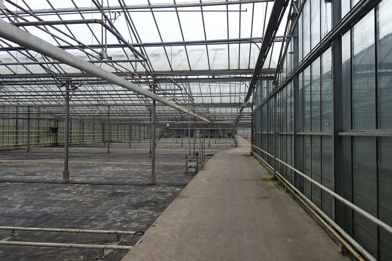 BedrijfsruimteaanHornweg 206<br/> inAalsmeer BedrijfsruimteaanHornweg 206<br/> inAalsmeer
