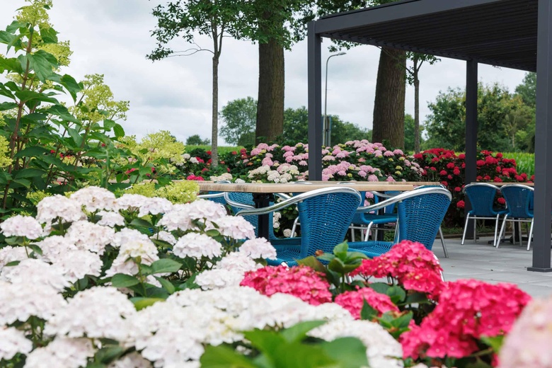 Horeca Steenwijk - Meppelerweg 89 - Foto 24