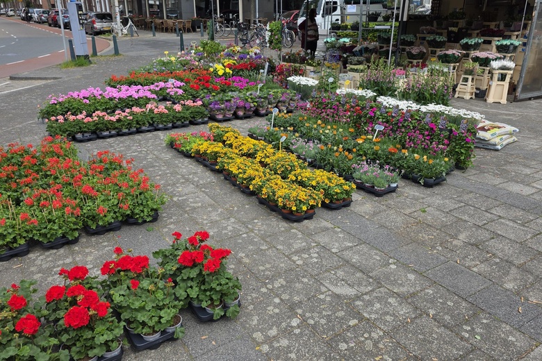 Bedrijfsruimte Den Haag - Kamperfoelieplein 10 D - Foto 4