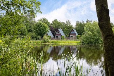 Horeca Twijzelerheide - Wyldpaed Oast 23 - Foto 2