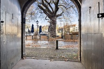 Bekijk foto 3 van Houttuinen 32 A