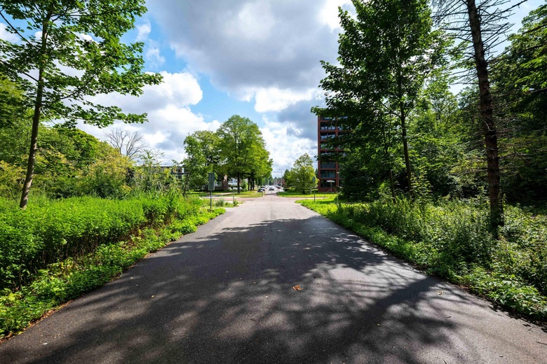 Bedrijfsruimte Hoogvliet - Flierefluiterpad 4 - Foto 11