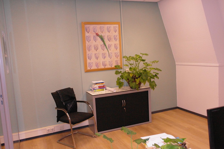 KantoorruimteaanFlorapark 1<br/> inHaarlem