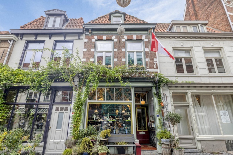 Bekijk foto 1 van Steenbergsestraat 45