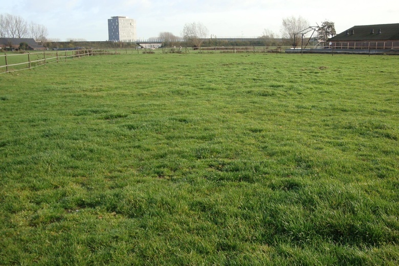 BedrijfsruimteaanWillibrordushoek 14<br/> inVeghel