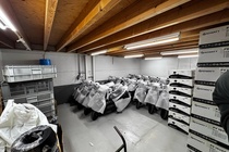 Bekijk foto 6 van eenheid 1 aan de Molenvliet 17 in Zwijndrecht