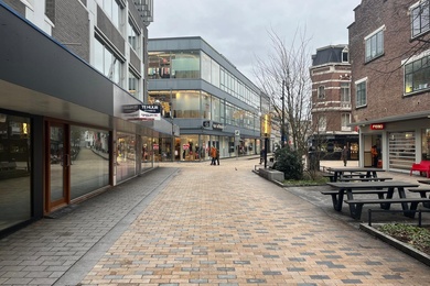 Bekijk foto 2 van Stadhuisplein 339