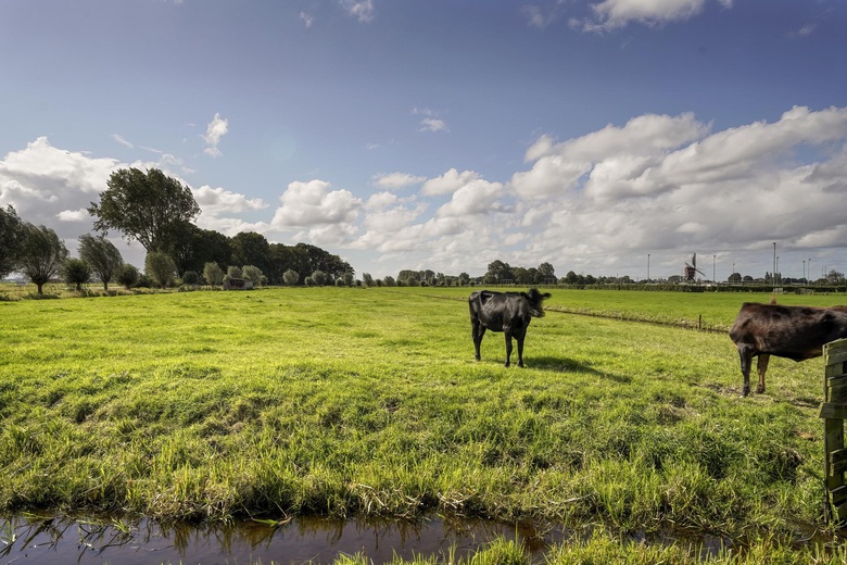 BedrijfsruimteaanOfwegen 0 ong<br/> inWoubrugge BedrijfsruimteaanOfwegen 0 ong<br/> inWoubrugge