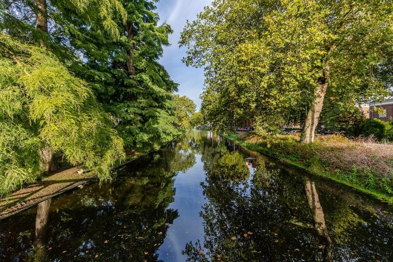 Winkelruimte Rotterdam - Noordsingel 96 - Foto 17