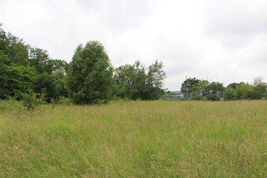 Bekijk foto 2 van Nievelsteenstraat 7