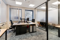 Bekijk foto 3 van Prins Willem-Alexanderlaan 717