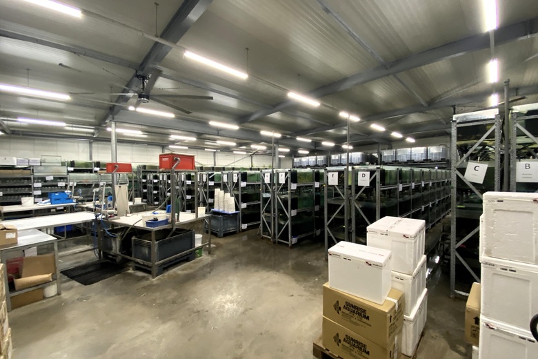 BedrijfsruimteaanArtemisweg 173<br/> inLelystad