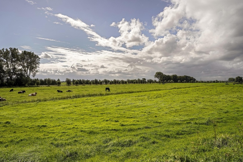 Bedrijfsruimte Woubrugge - Ofwegen 0 ong - Foto 21