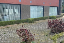 Bekijk foto 6 van eenheid 1 aan de Weerlaan 2 in Hillegom