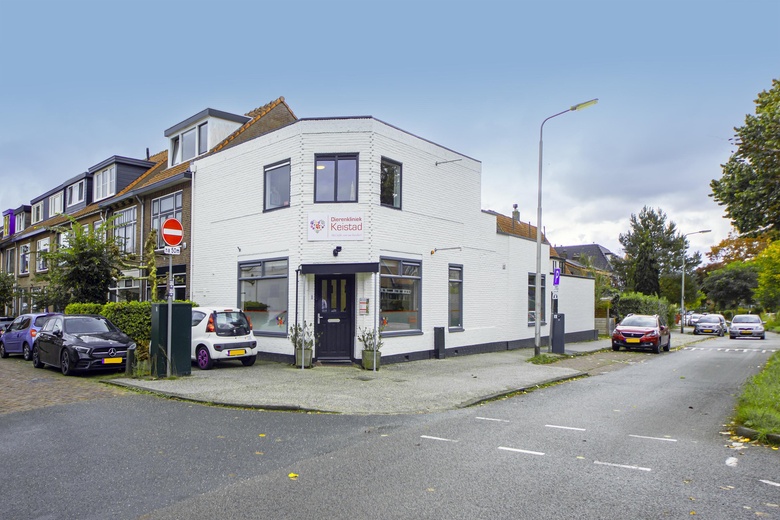 Bekijk foto 1 van Van Bemmelstraat 1