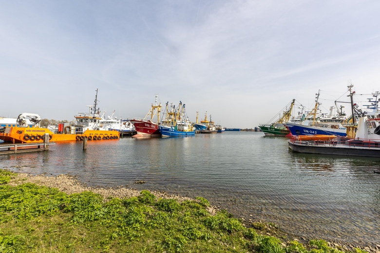 BedrijfsruimteaanDelta-Industrieweg 38<br/> inStellendam