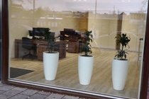 Bekijk foto 5 van Cruquiuskade 253 - 255