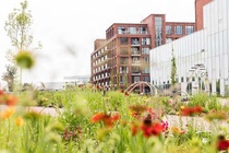 Bekijk foto 4 van Helperpark 298