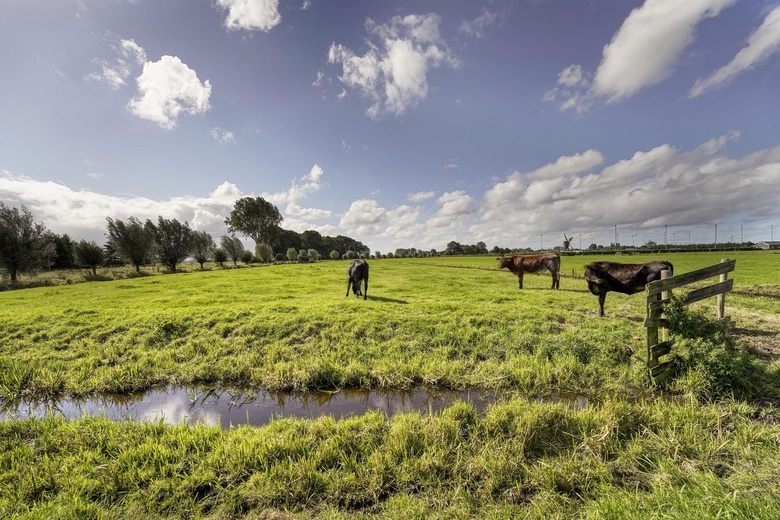 BedrijfsruimteaanOfwegen 0 ong<br/> inWoubrugge BedrijfsruimteaanOfwegen 0 ong<br/> inWoubrugge