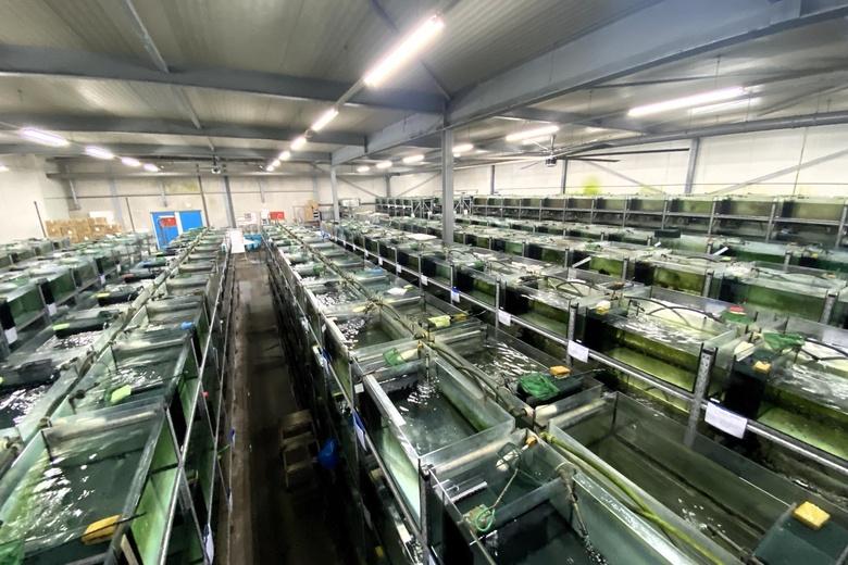 BedrijfsruimteaanArtemisweg 173<br/> inLelystad