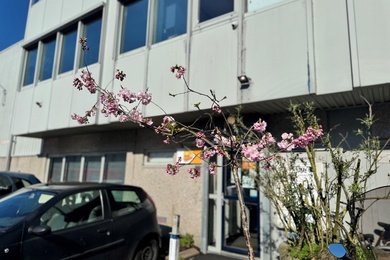 Bedrijfsruimte Amsterdam - Nieuwe Hemweg 4 C - Foto 2
