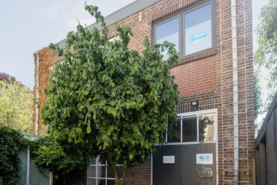 Kantoorruimte Mauritsstraat 12, Breda | Bedrijfspand.com
