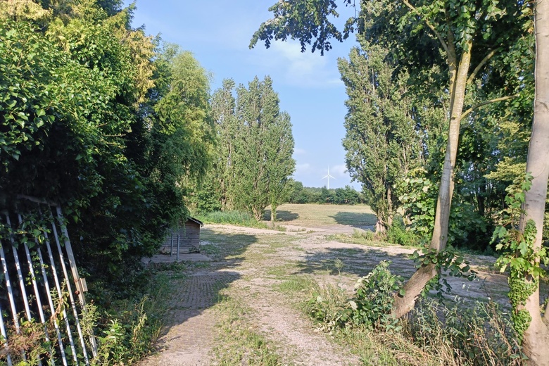 Kavel Dinteloord - Galgendijk 2 - Foto 16