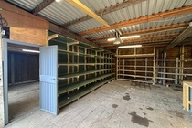 Bekijk foto 6 van Tolstraat 8