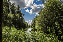 Bekijk foto 3 van Kerkweg 18 Bekijk foto 3 van Kerkweg 18