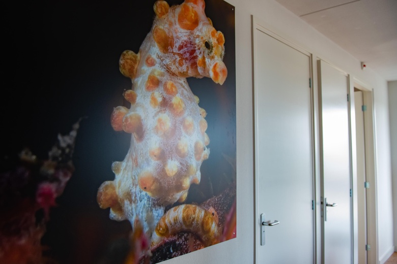 BedrijfsruimteaanResidentie Oosterschelde 0 ong<br/> inSint Philipsland