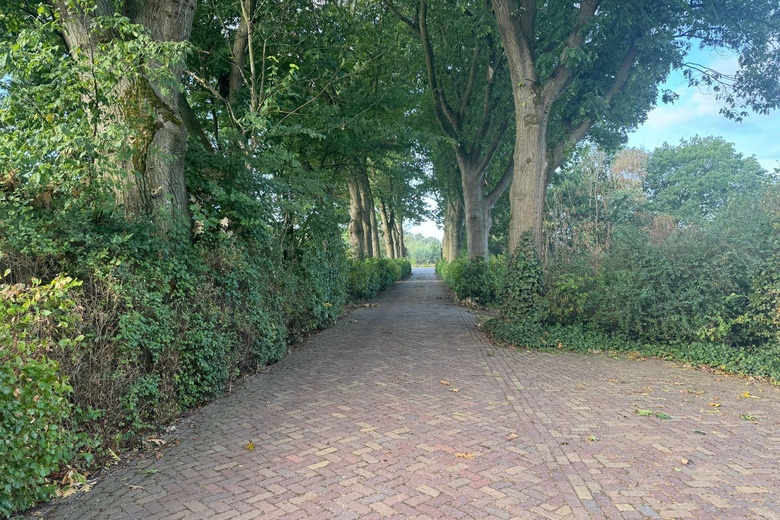 KantoorruimteaanTheerestraat 78<br/> inSint Michielsgestel KantoorruimteaanTheerestraat 78<br/> inSint Michielsgestel