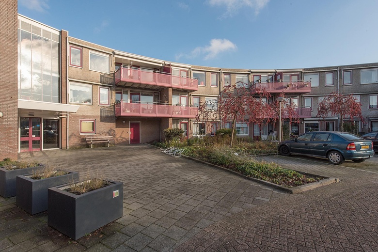 Bekijk foto 1 van Dokter Wilminkstraat 61 D Bekijk foto 1 van Dokter Wilminkstraat 61 D