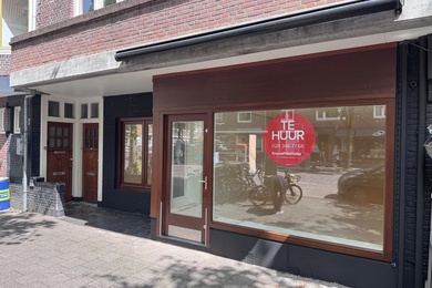 Bekijk foto 2 van Maasstraat 53