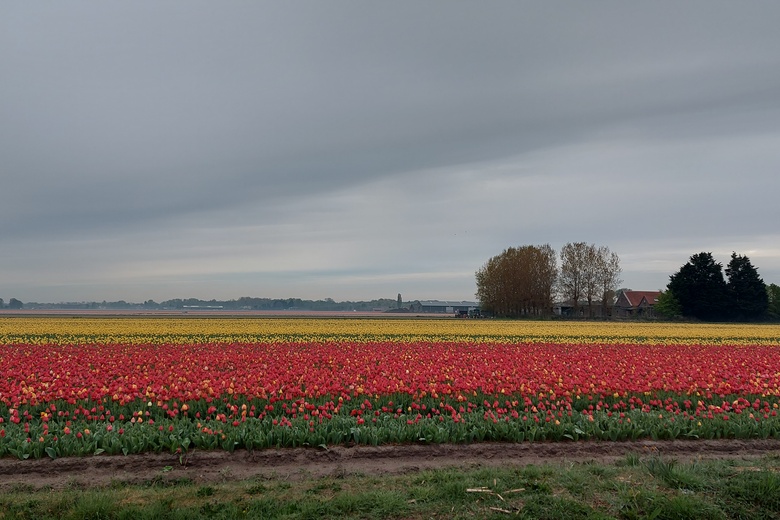 BedrijfsruimteaanCruquiuszoom 106<br/> inCruquius