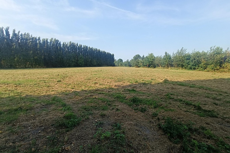 KavelaanGalgendijk 2<br/> inDinteloord KavelaanGalgendijk 2<br/> inDinteloord