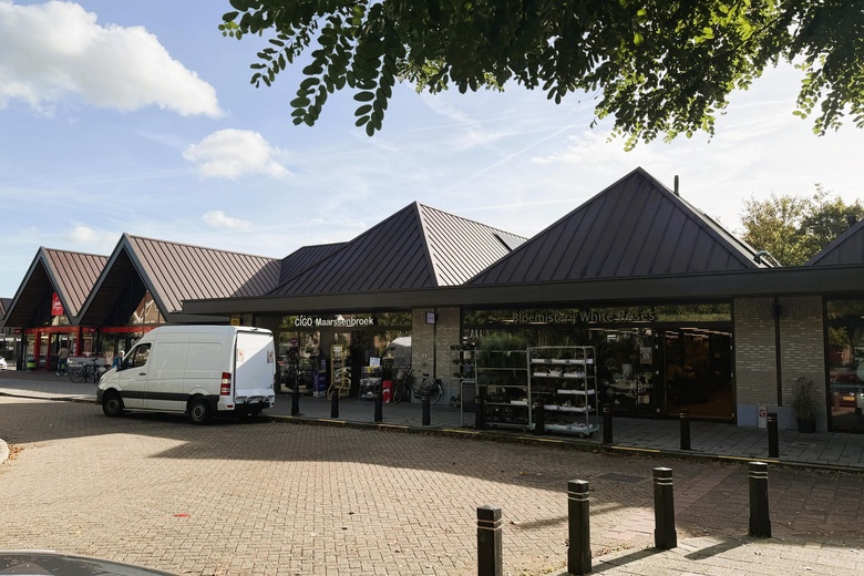 Winkelruimte Maarssen - Zwanenkamp 301 - Foto 4