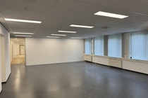 Bekijk foto 4 van Rivium Boulevard 21
