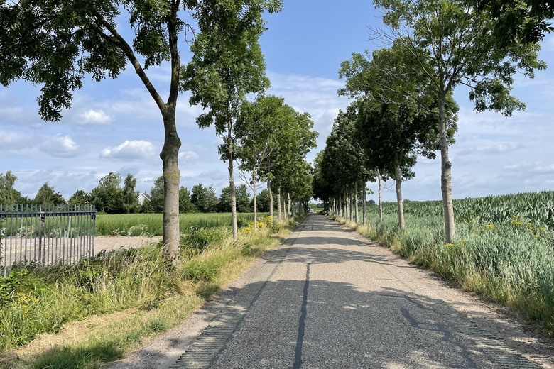 Bedrijfsruimte Beek en Donk - Schoondonkseweg 3 - Foto 17