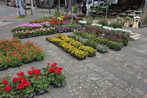 Bedrijfsruimte Den Haag - Kamperfoelieplein 10 D - Foto 4