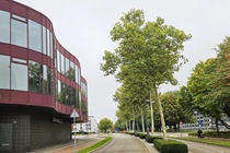 Bekijk foto 4 van Spoorsingel 1 A