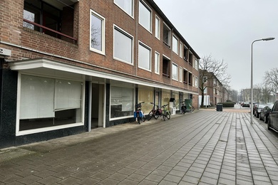 Bekijk foto 2 van Haydnstraat 22 A Bekijk foto 2 van Haydnstraat 22 A
