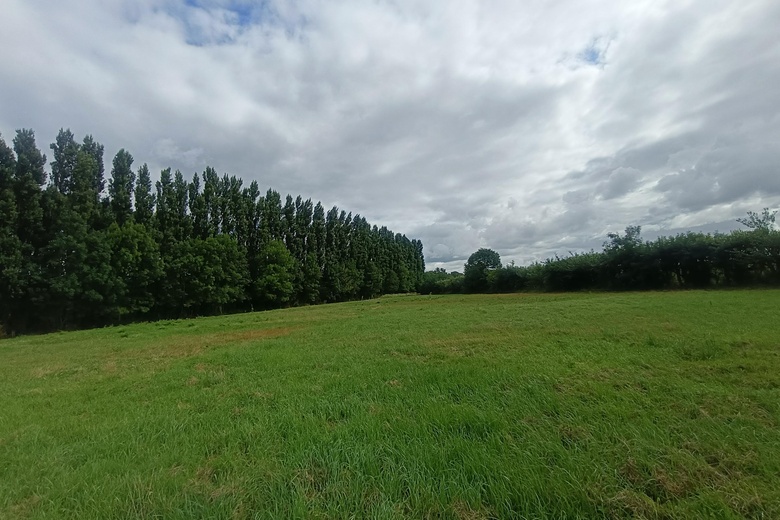 Kavel Dinteloord - Galgendijk 2 - Foto 14