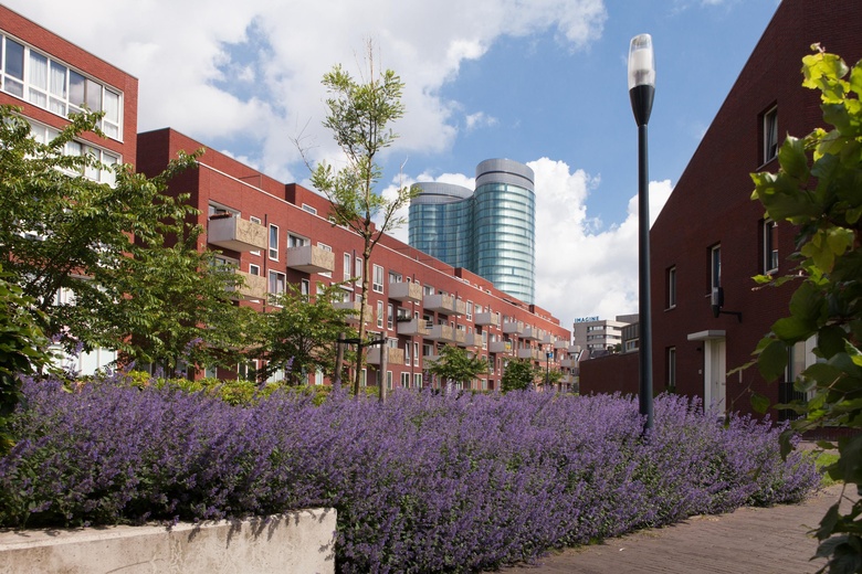 Kantoorruimte Utrecht - Groenmarktstraat 19 - Foto 6