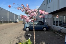 Bedrijfsruimte Amsterdam - Nieuwe Hemweg 4 C - Foto 3