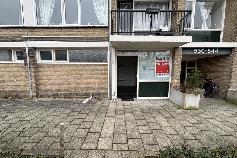 Bekijk foto 1 van Bachstraat 528