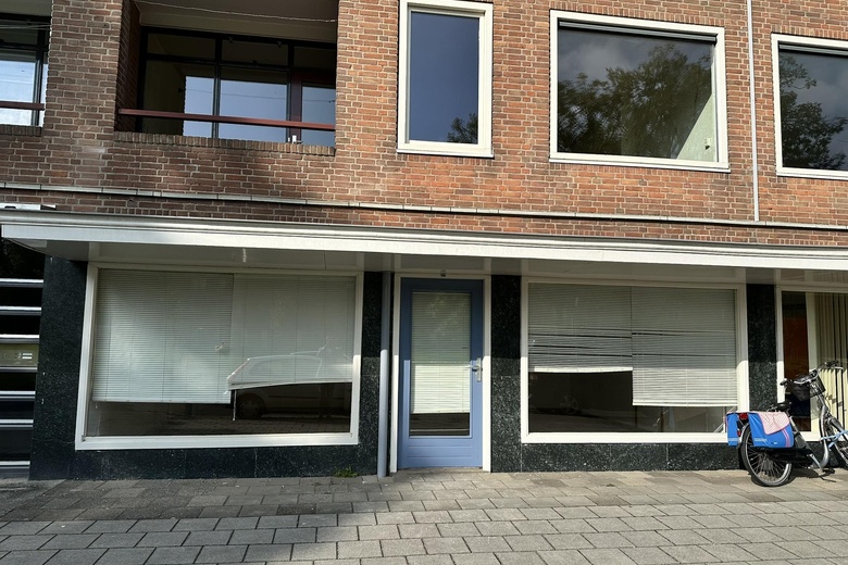 Bekijk foto 1 van Haydnstraat 22 A Bekijk foto 1 van Haydnstraat 22 A