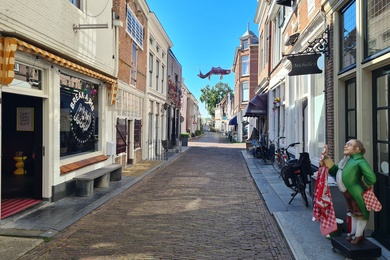 Bekijk foto 2 van Visstraat 13 Bekijk foto 2 van Visstraat 13